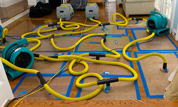 Professional Crawl Space Water Removal technician working in Gibson, GA